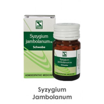 Syzygium Jambolanum 1x